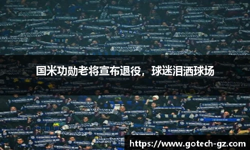 球速体育平台登录入口
