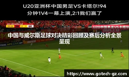 球速体育平台登录入口